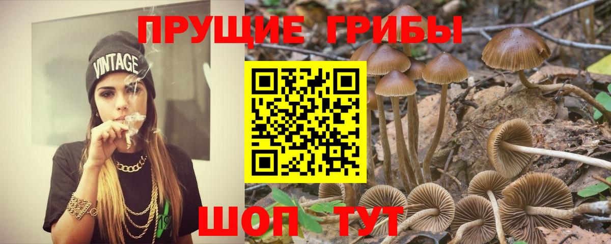 Галлюциногенные грибы ЛСД  Вход с VPN  Домодедово 